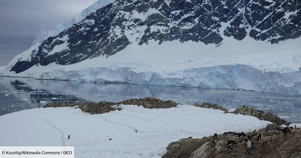 Une carotte de glace prélevée en Antarctique contient un échantillon d'atmosphère datant de cinq