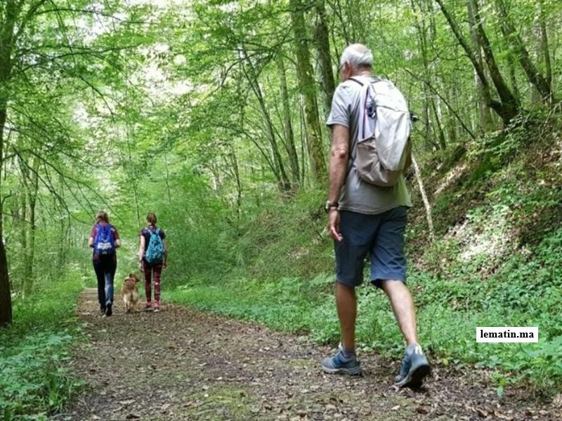 Tourisme vert au Maroc : Ifrane accueille un forum clé