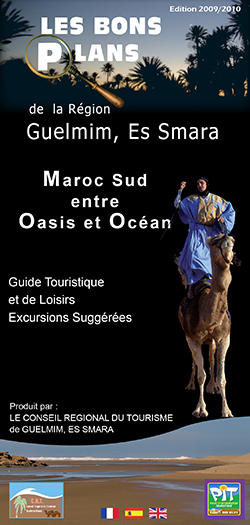 Guide numérique 2011