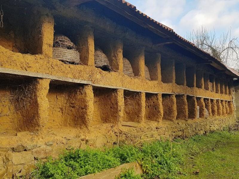 L'un des plus grands mur à abeilles de France restauré dans la Manche