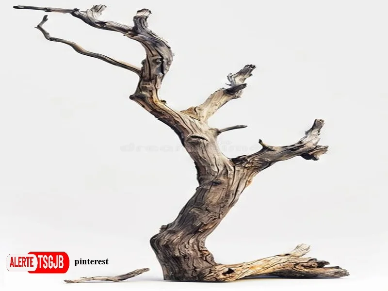 L’homme scie la branche sur laquelle il est assis : S.O.S extinction de masse des espèces Le salut passe par un changement en profondeur