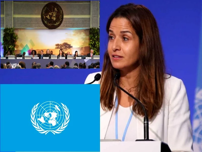 Leila Benali : L'universalité des valeurs défendues par l'Assemblée de l'ONU-Environnement