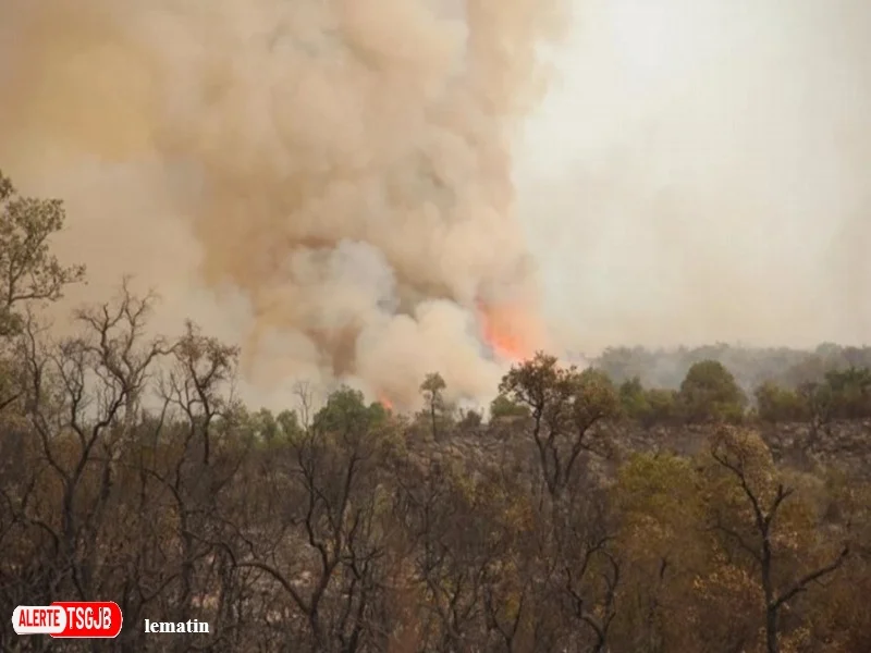 ALERTE TSGJB Maroc : risque extreme d’incendies de forets dans plusieurs provinces jusqu’au 8 juillet
