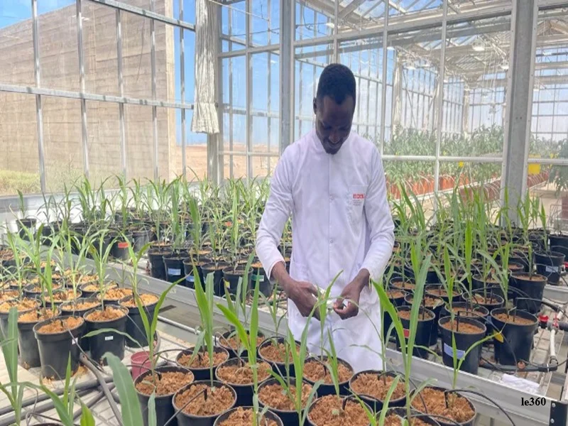 ASARI Laayoune : innovation pour l’agriculture saharienne