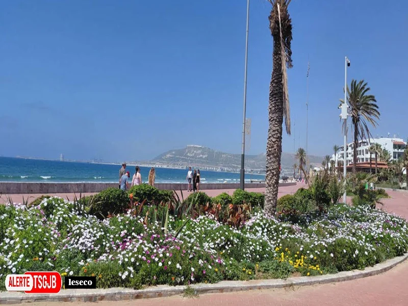 ALERTE TSGJB Souss-Massa Days 2026 : Agadir face au defi du deficit hotelier et de la modernisation touristique