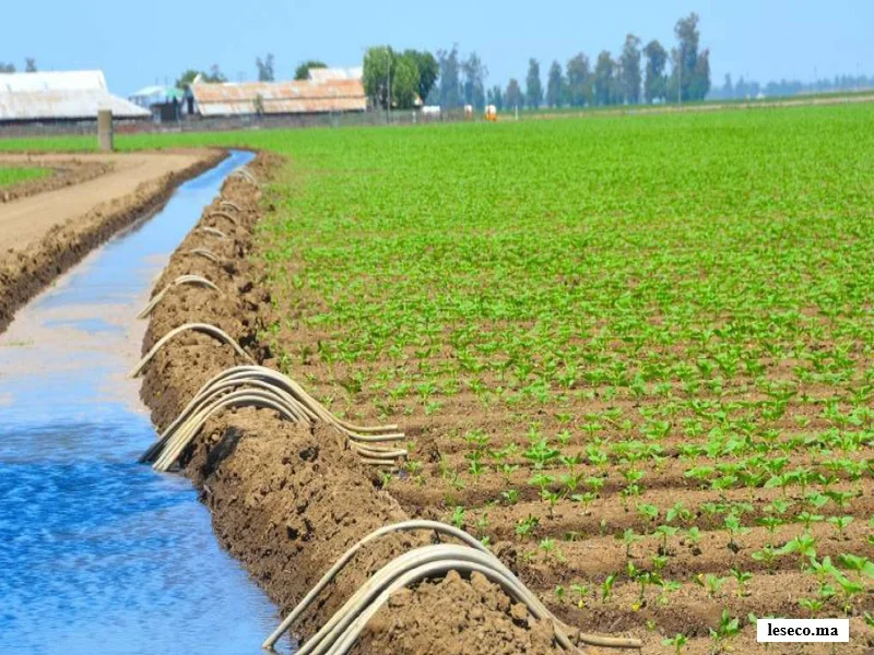 Maroc : soutien au climat agricole via le fonds ARAF II de 132 millions $