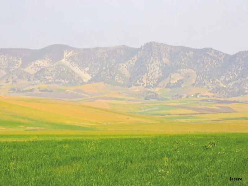 Eau et climat au Maroc : barrages, neige et défis hydriques en 2025 