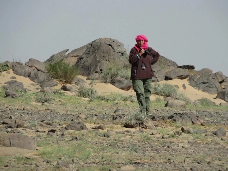 Au Sahara, le mystère des géoglyphes