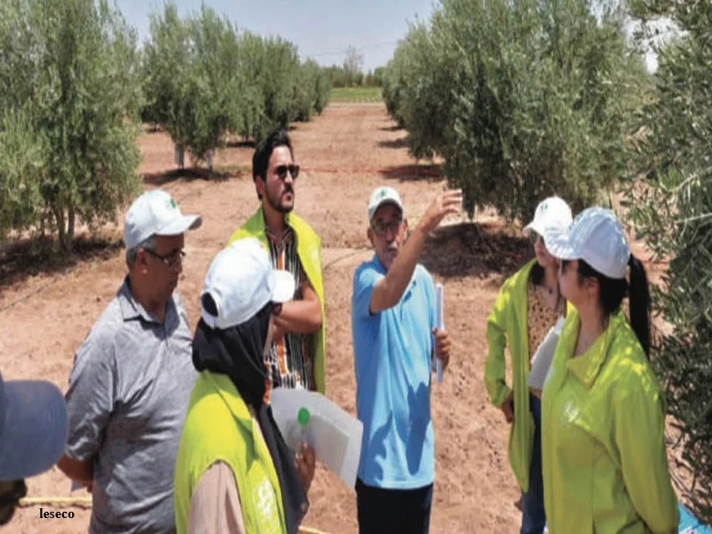 Al Moutmir 2024/2025 : innovation agricole pour la résilience face au climat au Marocn