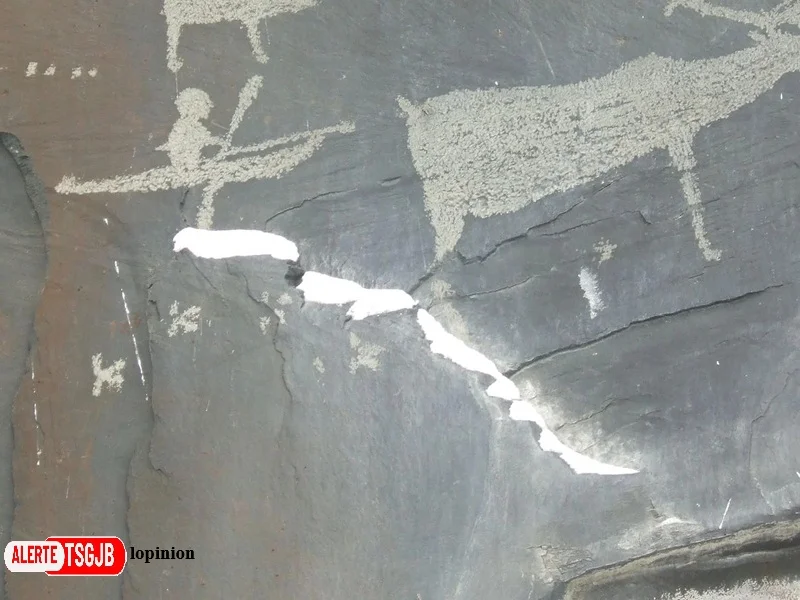 ALERTE TSGJB Archeologie en Russie : 31 nouvelles gravures rupestres decouvertes en Arctique