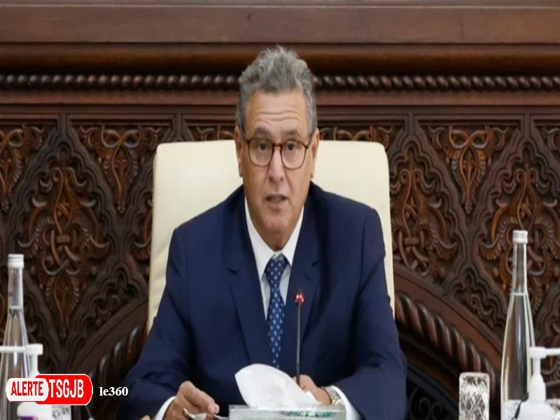 ALERTE TSGJB Bilan RNI 2021-2026 : promesses et realite du gouvernement
