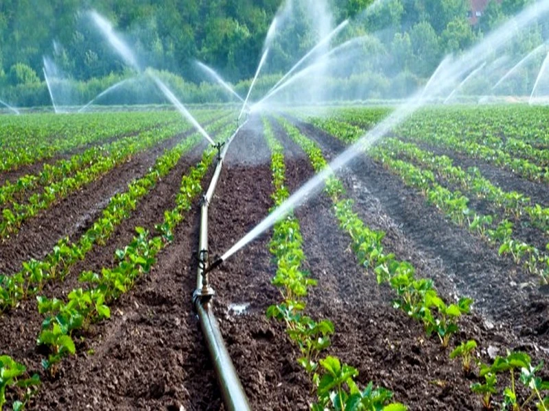 La BERD salue l’aspect novateur des initiatives d’irrigation au Maroc