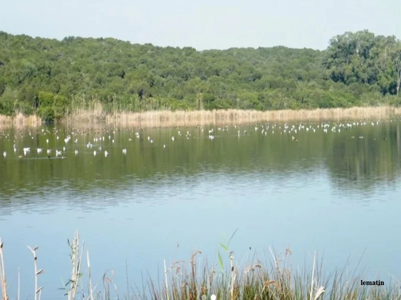 Biodiversite au Maroc : le CESE alerte sur l’effondrement des ecosystemes et appelle a une nouvelle gouvernance 