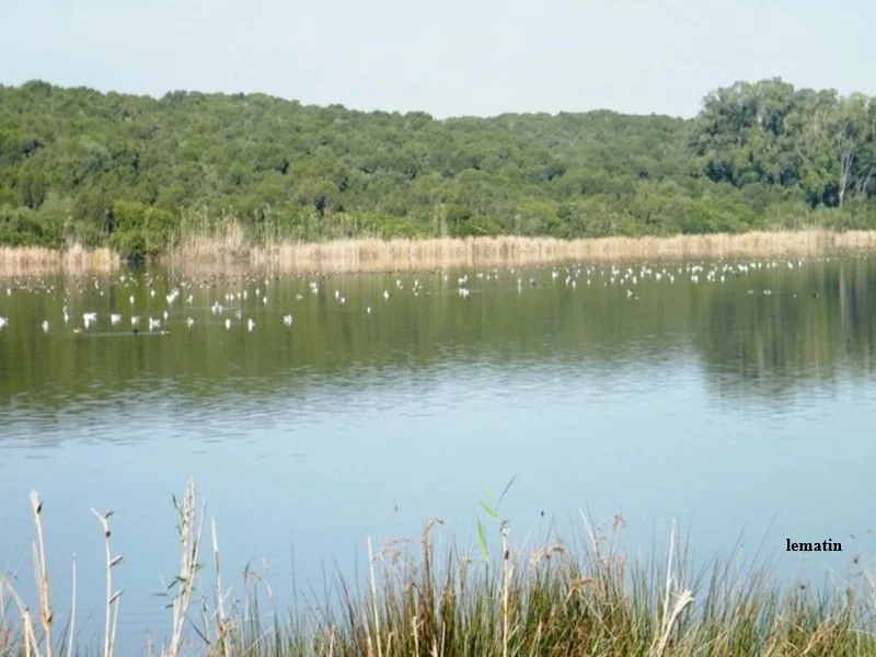 Biodiversite au Maroc : declin alarmant et enjeux du developpement durable