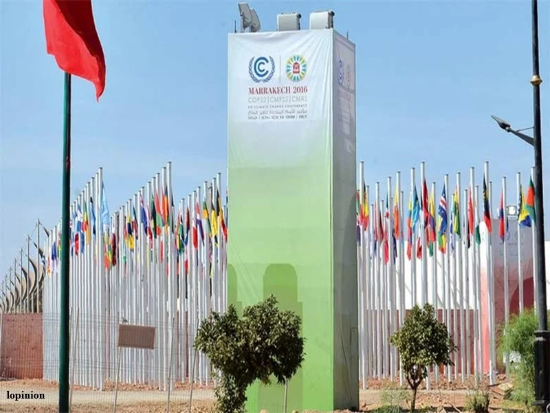 CESE Maroc : consultations citoyennes sur formation et biodiversité