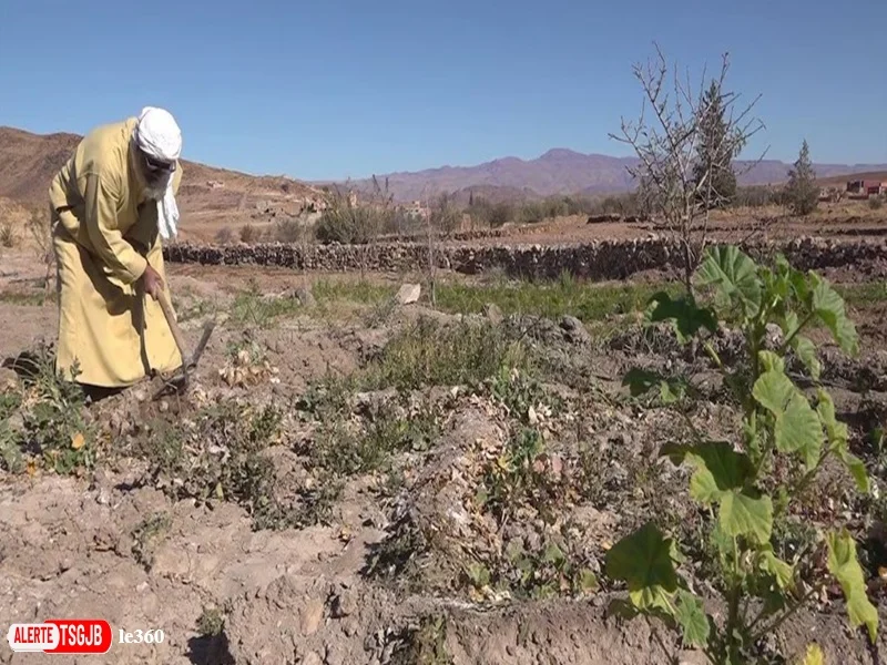 Agriculture au Maroc : la COMADER alerte sur les difficultes des agriculteurs
