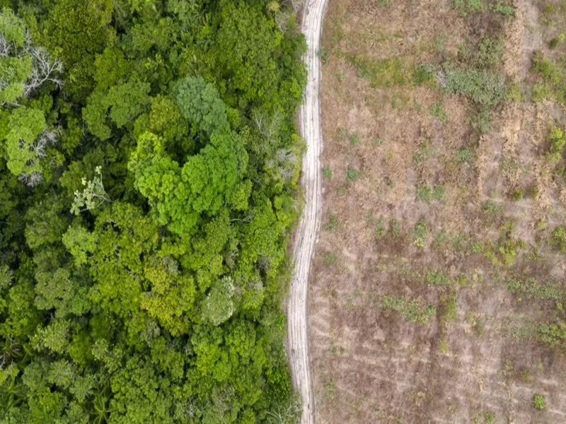 COP16 Biodiversité : Écosystèmes en Déclin, Urgence d’Agir