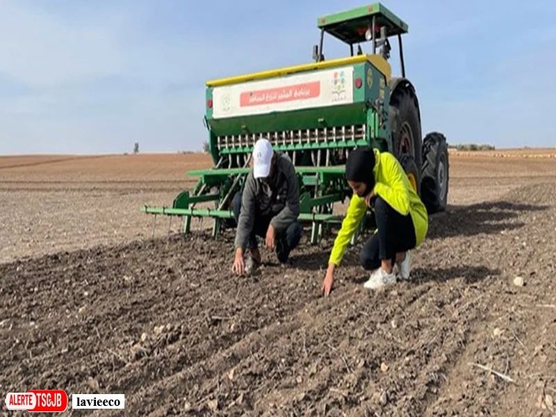 ALERTE TSGJB Campagne agricole 2025-2026 : Al Moutmir ameliore les rendements des cultures au Maroc