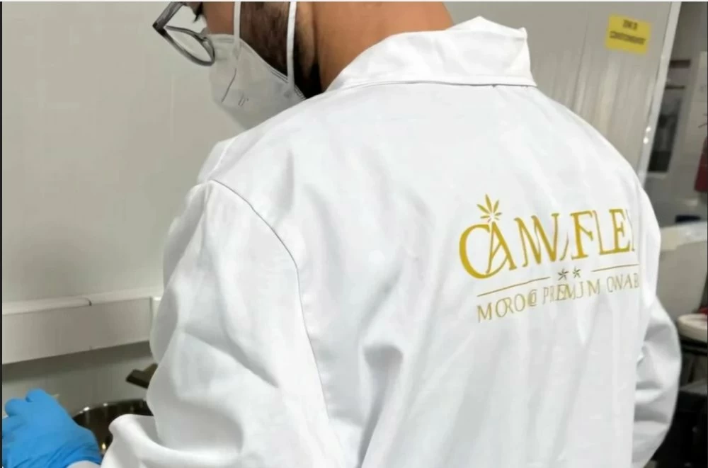 Cannabis médical : le Maroc signe une première mondiale