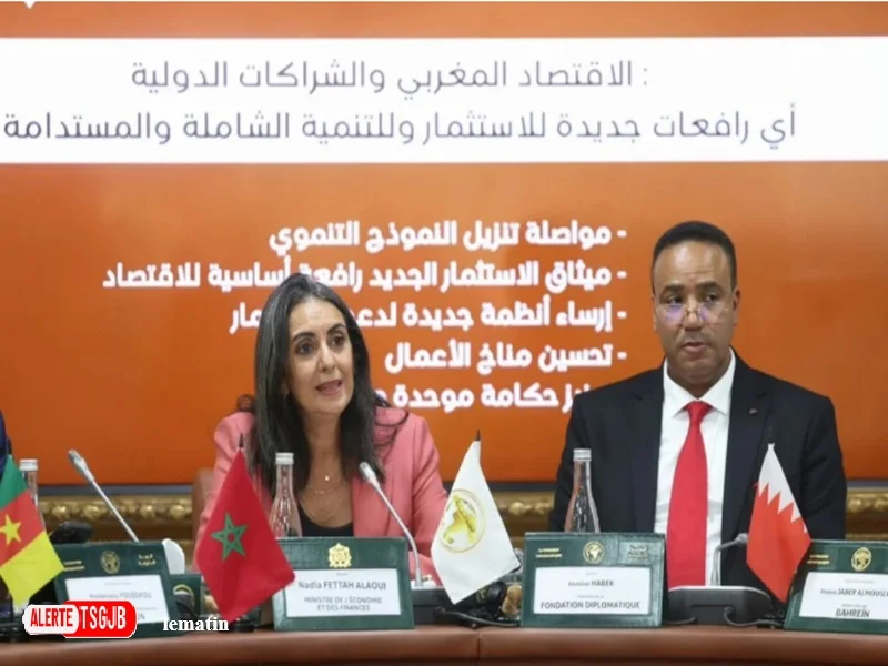 ALERTE TSGJB Investissement au Maroc : les priorites de Nadia Fettah  