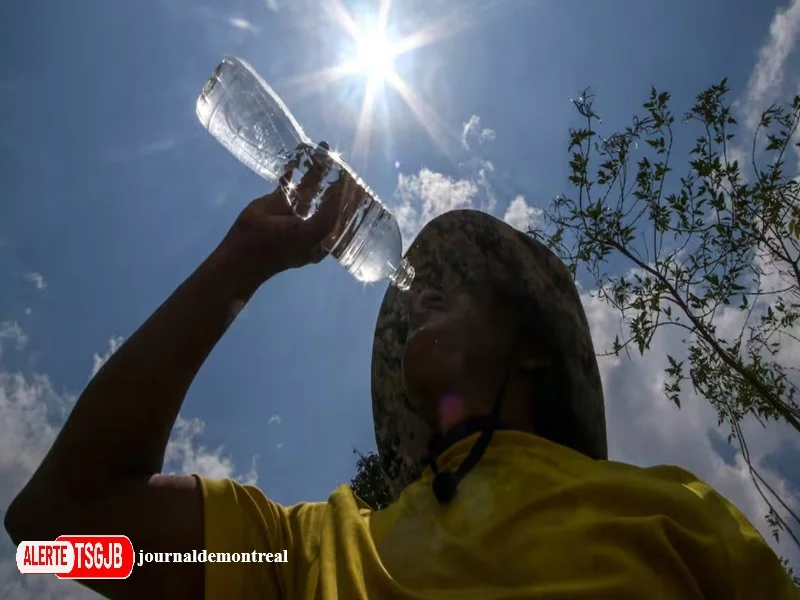 ALERTE TSGJB El Nino : jusqu’a 451 000 deces supplementaires lies a la chaleur dans le monde