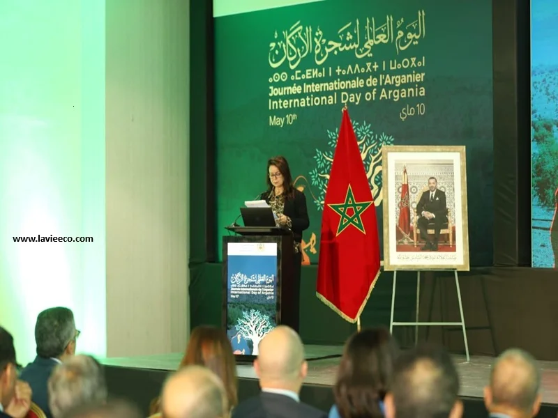 Arganiculture : avancées du programme DARED au Maroc