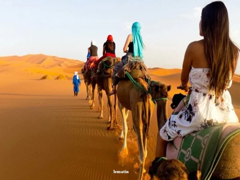 Tourisme au Maroc 2026 : hausse des arrivees, nuitees et recettes en forte croissance