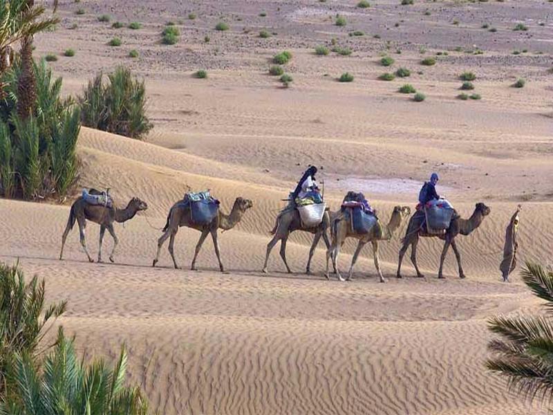 Développement durable Le Maroc célèbre aujourd'hui la Journée mondiale du tourisme durable