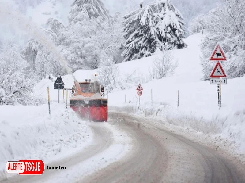 ALERTE TSGJB El Nino et hiver en Europe : que disent les previsions meteo ?