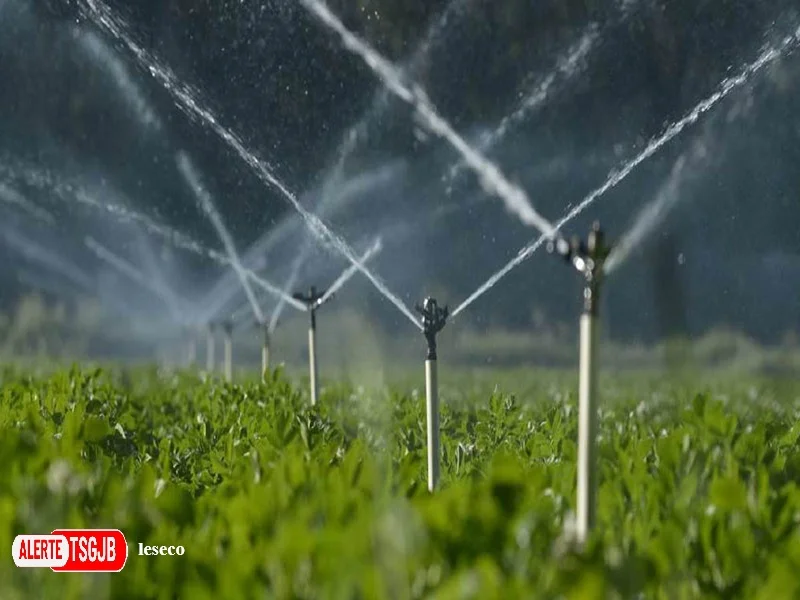 ALERTE TSGJB Irrigation au Maroc : 4 projets beneficient d’etudes complementaires avec le soutien de la KfW 