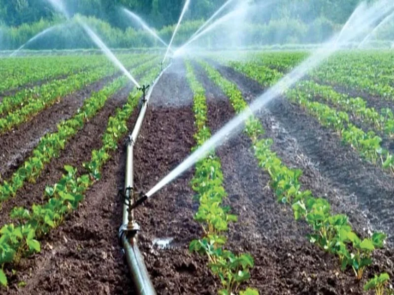 La région de Souss-Massa renforce son réseau de stations météorologiques pour une irrigation agricole optimisée