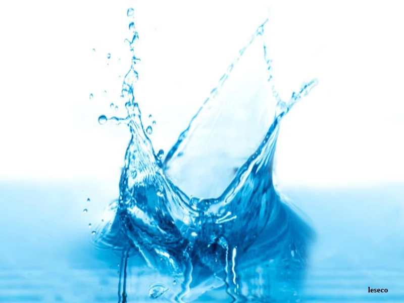 Crise de l’eau au Maroc : l’UM6P plaide pour une gouvernance durable et une approche systémique