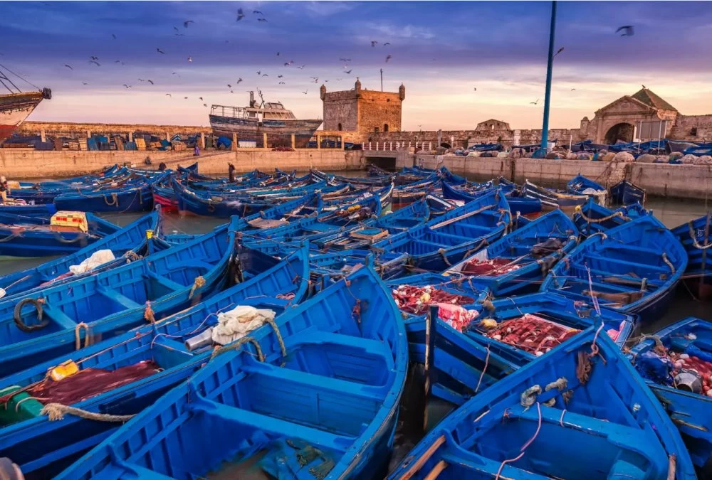 Essaouira : 1 Million de Touristes et 3 Millions de Nuitées