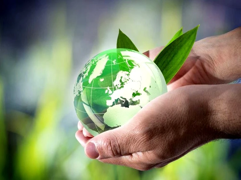 Evaluation environnementale : cinq directives sectorielles en préparation