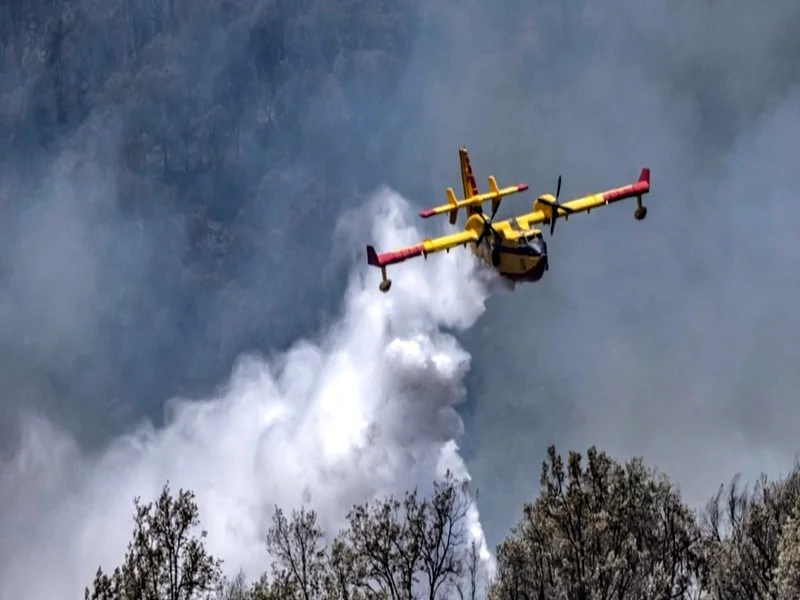 L'ANEF Annonce une Réduction Drastique des Incendies de Forêts en 2023 grâce à des Efforts Conjoints