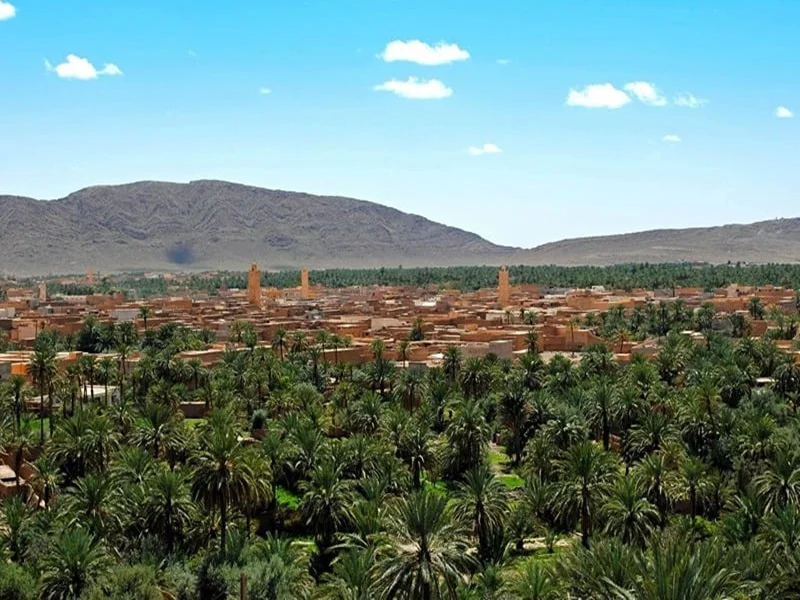 Maroc : Une Stratégie pour Sauver les Oasis du Changement Climatique