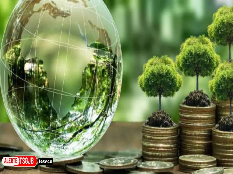 ALERTE TSGJB COP31 : le Maroc vise 96 milliards de dollars pour sa transition climatique