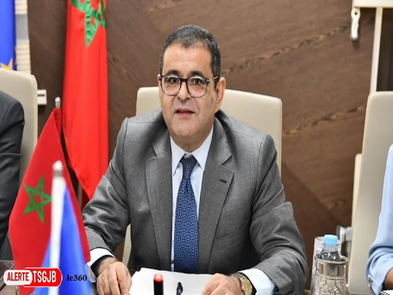 ALERTE TSGJB Immigration irreguliere : le Maroc veut proposer une nouvelle strategie de cooperation avec l’Europe 