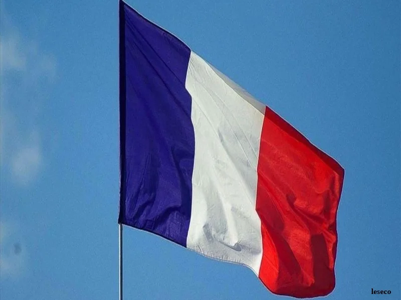 Stratégie IA en France : la Cour des comptes appelle à accélérer l’adoption de l’intelligence artificielle