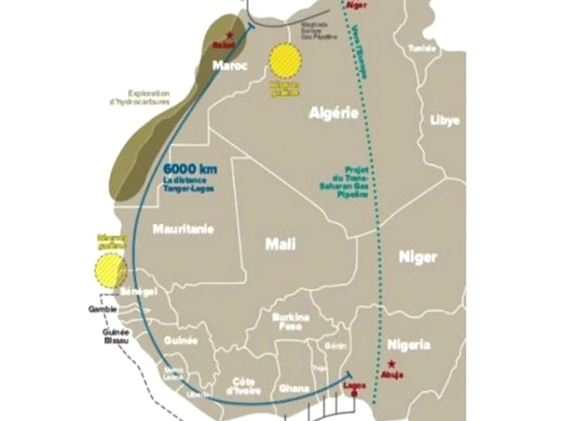 Gazoduc transsaharien : Après le refus du Nigéria, l’Algérie tente de séduire le Niger