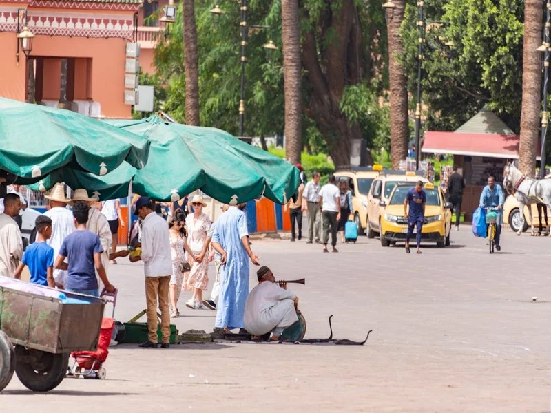 L'héritage au Maroc : Conflits familiaux, tensions sociales et luttes de pouvoir