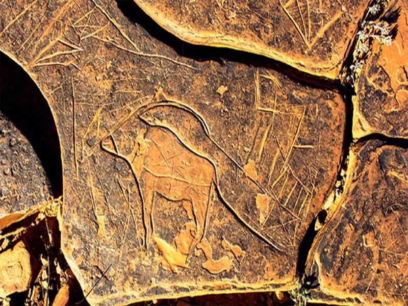 #MAROC_ARCHEOLOGIE_GRAVURES_RUPESTRES:   Art rupestre du Maroc : un patrimoine riche, menacé et peu