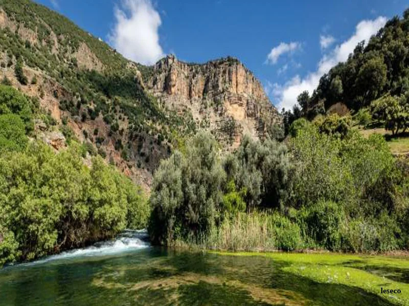 Parc national d’Ifrane : appui aux TPME ecotouristiques et tourisme durable