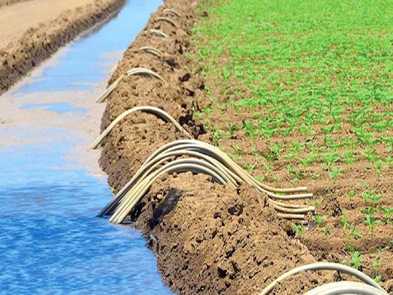 Développement durable : Bientôt de l’eau usée épurée pour les agriculteurs de Tiznit 