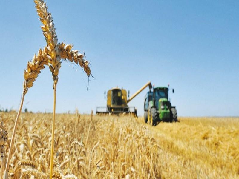 Agriculture : Le ministère prévoit une année agricole prometteuse