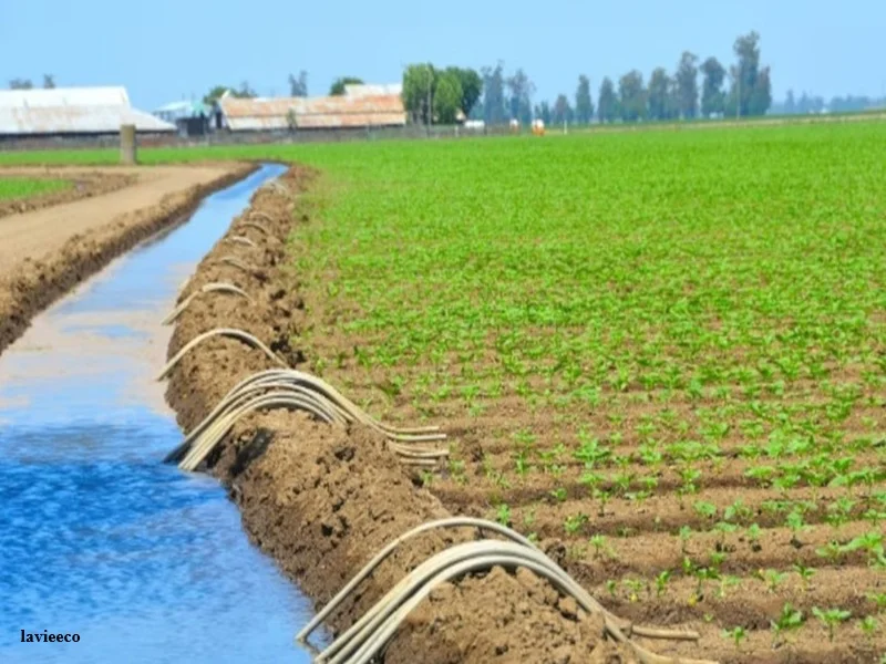 Maroc–Chine : coopération pour la sécurité hydrique