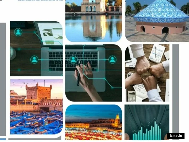 ALERTE TSGJB Marrakech-Safi : forte hausse des creations d’entreprises et de l’activite economique en 2024
