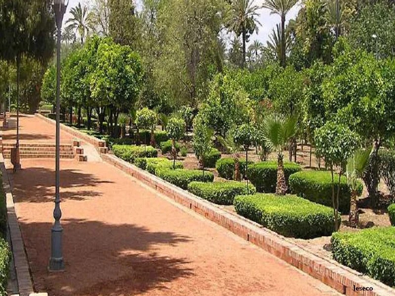 Marrakech lance son Plan directeur des déchets verts