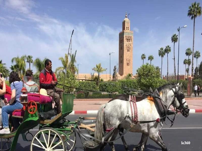Marrakech Tourisme 2026 : Ramadan, Croissance Record et 26 Millions de Visiteurs pour le Maroc