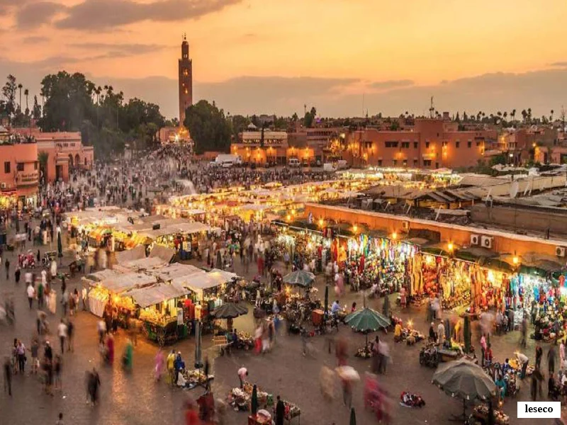 Marrakech-Safi : plantation de 5 000 arbres fruitiers, jeunesse et developpement durable au Maroc